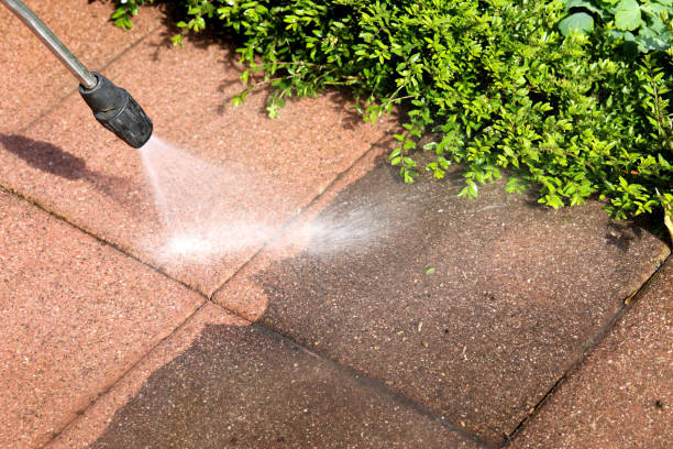 Best Local Pressure Washing Services  in Fort Lauderdale, FL